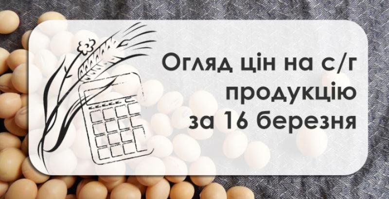 В Україні зросли закупівельні ціни на кукурудзу — огляд за 16 березня