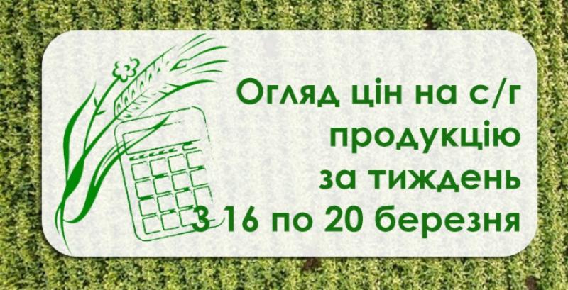 В Україні зросли закупівельні ціни на кукурудзу та сою  — огляд за тиждень з 16 по 20 березня