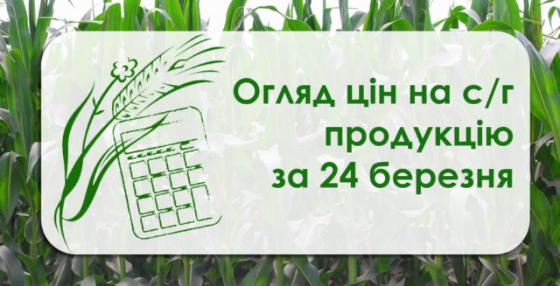 В Україні подорожчали ячмінь, кукурудза та пшениця  — огляд цін на с/г продукцію за 24 березня