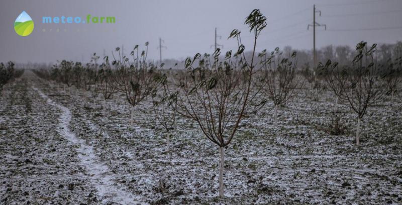 В Україні сніг та морози —- погода на тиждень