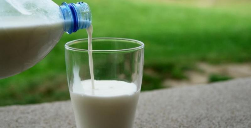  Американські фермери зливають молоко в каналізацію