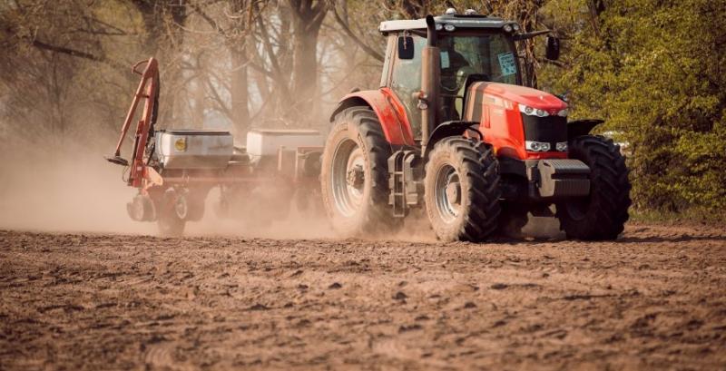 На Чернігівщині зерновими та зернобобовими засіяно 22% площ