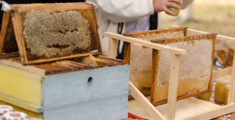 Херсонські пасічники безкоштовно доставляють мед пенсіонерам