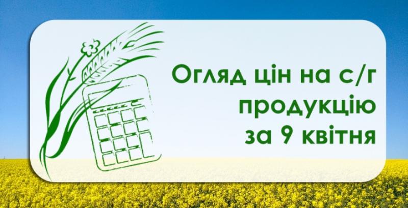В Україні зросли закупівельні ціни на соняшник та ячмінь  — огляд за 9 квітня