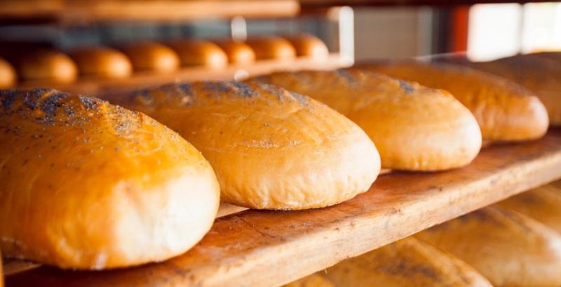 В Україні не буде дефіциту хліба — Петрашко