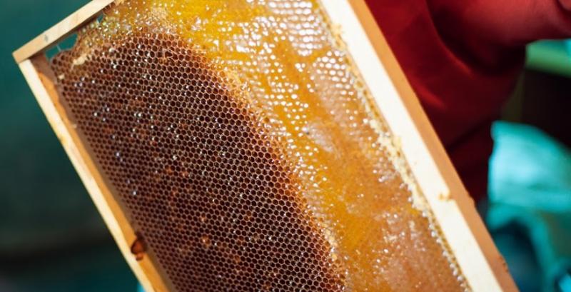 Попит на мед знизиться через коронавірус