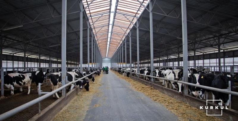 Харківська викладачка на власній фермі виробляє молоко екстра класу
