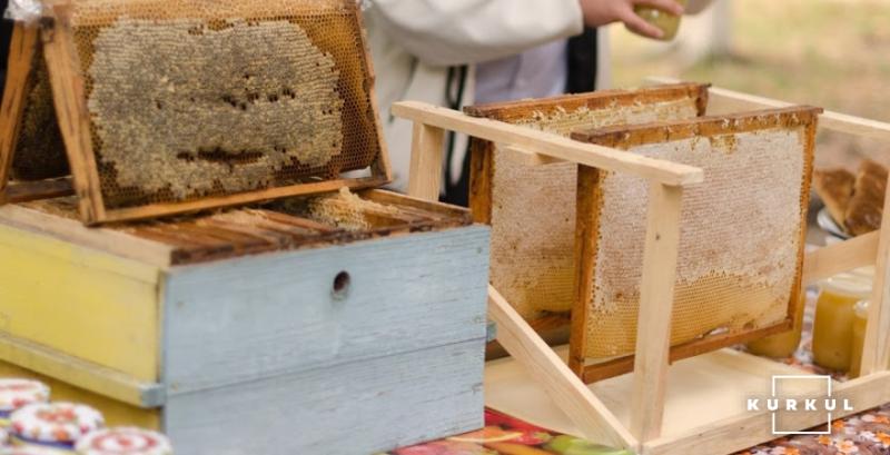 Пасічники Одещини прогнозують недобір меду