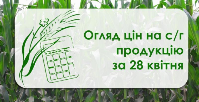 В Україні подорожчала пшениця — огляд цін на с/г продукцію за 28 квітня