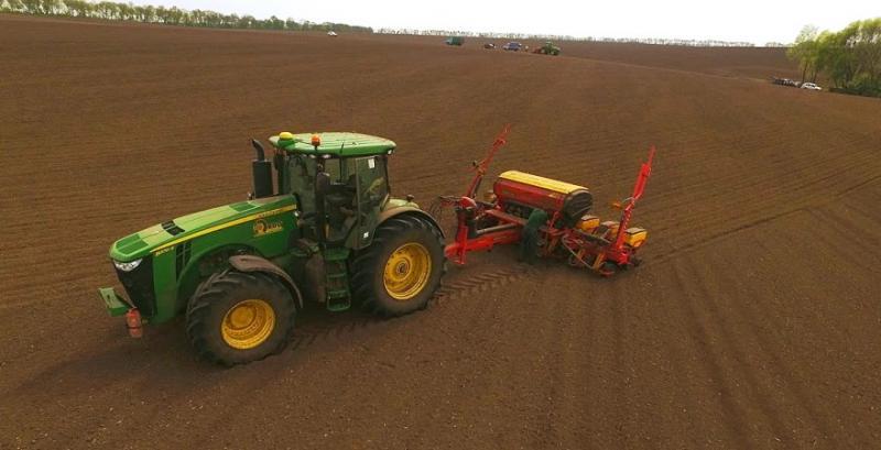 Українські фермери збільшать площі під гречкою