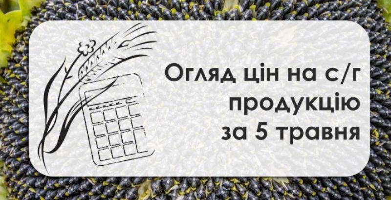 В Україні зросли закупівельні ціни на соняшник — огляд за 5 травня