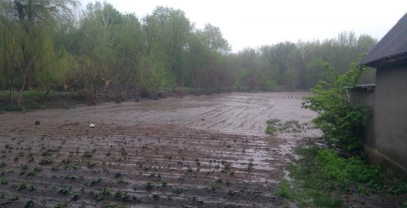 Зливи позмивали посіви на полях центральних областей України