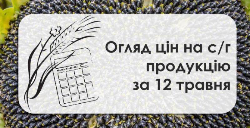 В Україні подешевшала пшениця, ціна кукурудзи зросла — огляд за 12 травня