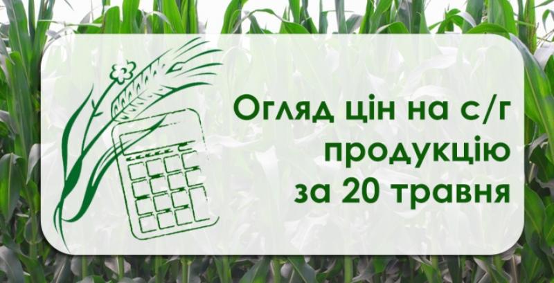 Другий тиждень поспіль в Україні дешевшає пшениця — огляд цін на с/г продукцію за 20 травня