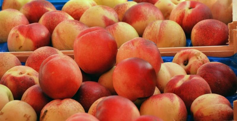 Виробництво персиків в Італії знизиться до 25-річного мінімуму