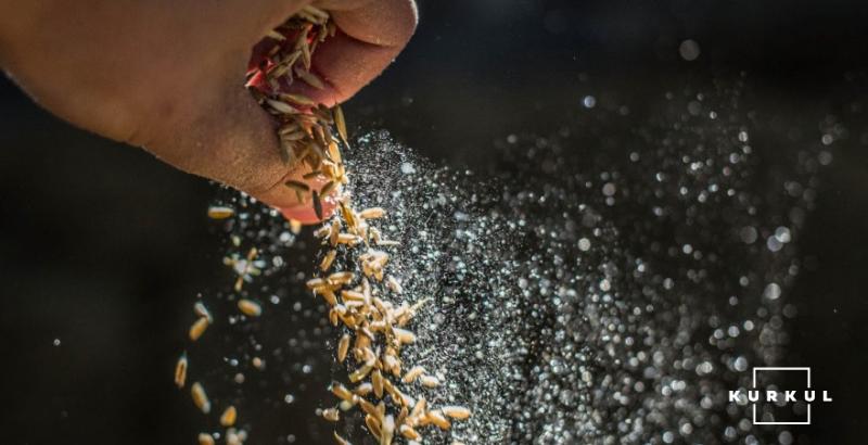 В Україні збережеться стабільна ціна на фуражне зерно — G.R. Agro