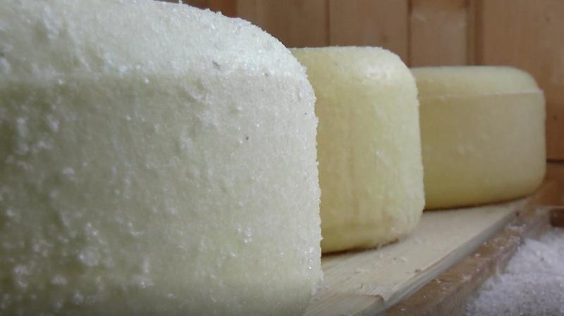На Прикарпатті подружжя виготовляє 7 видів овечого сиру