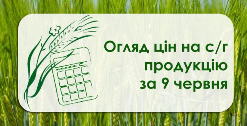 В Україні подешевшали олійні — огляд цін на с/г продукцію за 9 червня