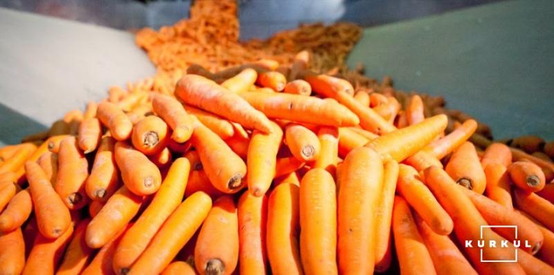 В Україні очікується низький урожай ранньої моркви