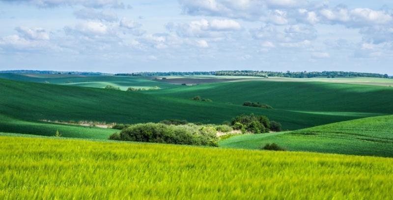 В Україні спрощено реєстрацію земельних ділянок