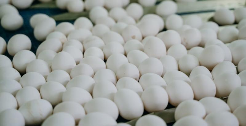 В Україні на 16% зросли ціни на фрукти та яйця