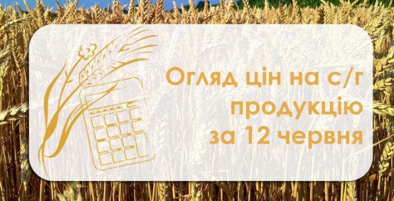 Закупівельні ціни на пшеницю почали зростати — огляд за 12 червня
