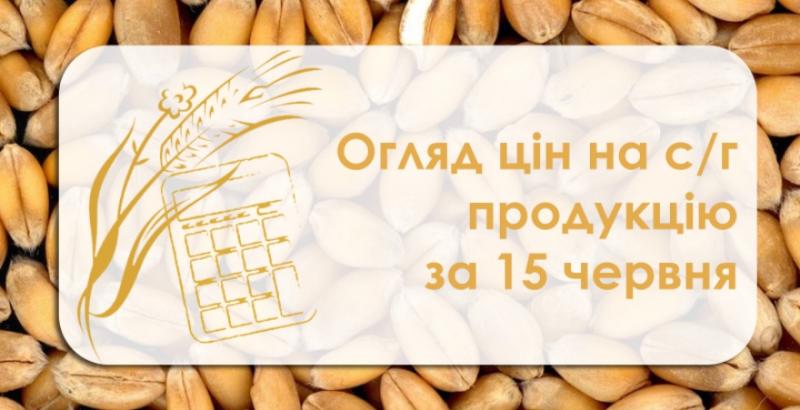 В Україні подорожчали соняшник та ріпак — огляд цін на с/г продукцію за 15 червня