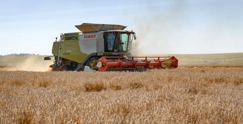 Жнива пшениці в США проведені на 15% площ