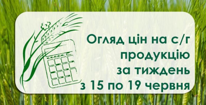 В портах України продовжує дешевшати пшениця — огляд за тиждень з 15 по 19 червня