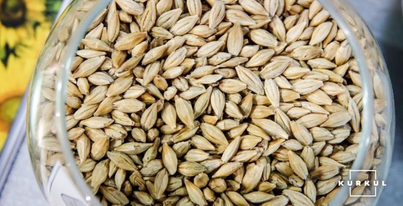 Аналітики прогнозують подальше зниження цін фуражного зерна