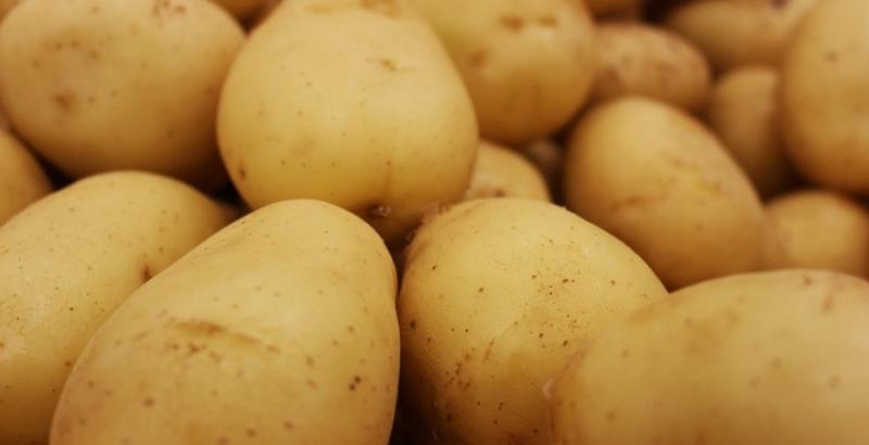 Ціна картоплі зросте через повінь на Заході України — прогноз