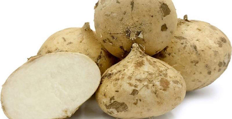 В Україні з’явилась мексиканська картопля — хікама