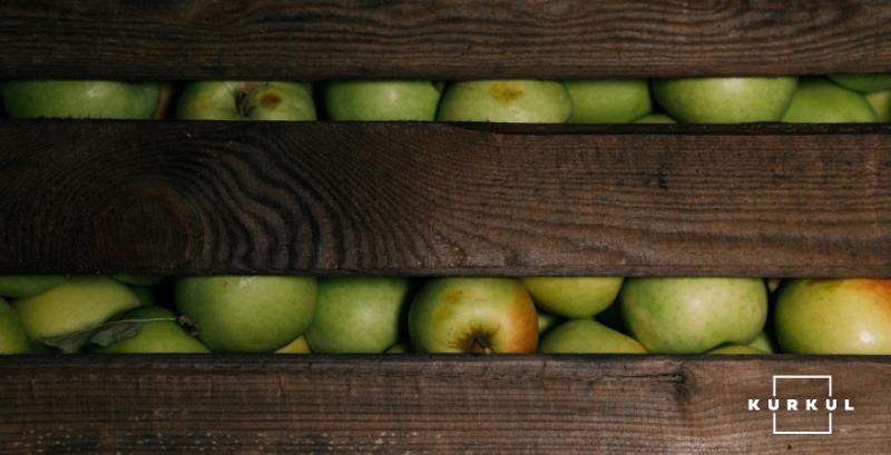 Урожай промислових яблук цього сезону на 40% перевищить минулорічний — Т.B. Fruit