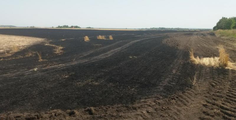 На Харківщині згоріло 23 га пшениці