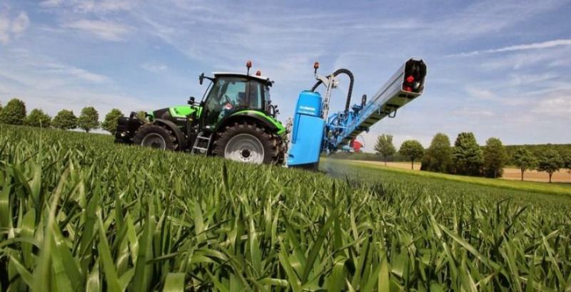 Експерт порадив інсектицид для захисту посівів кукурудзи від шкідників