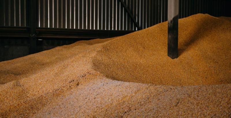 У 5 областях України не вистачає потужностей зберігання зерна — думка