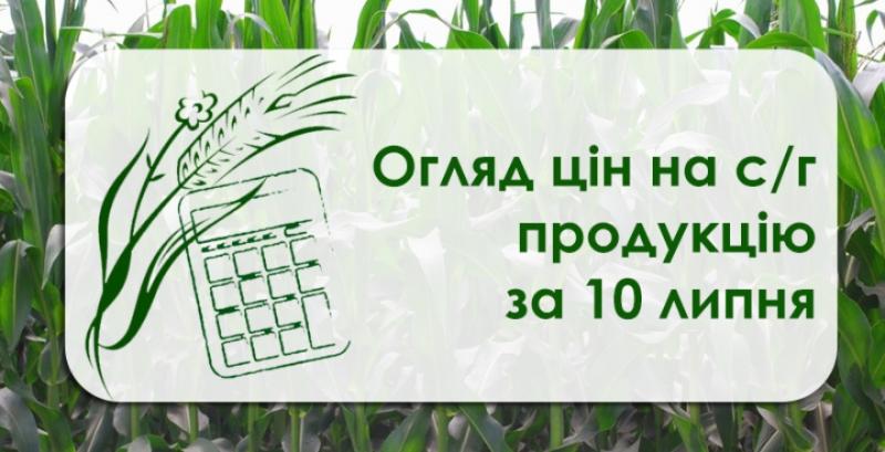 В Україні ростуть ціни на пшеницю — огляд за 10 липня
