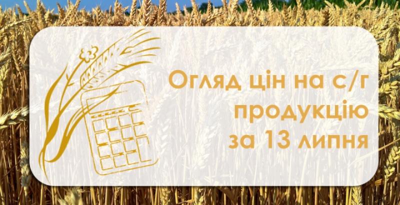 В Україні подешевшала кукурудза — огляд цін на с/г культури за 13 липня