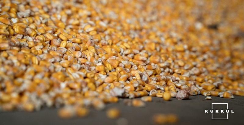 Китай підписав рекордний контракт на закупівлю американської кукурудзи