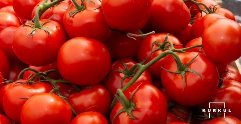 В Україні дефіцит тепличних помідорів