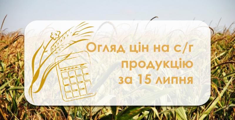 В Україні продовжує дешевшати кукурудза — огляд цін на с/г культури за 15 липня