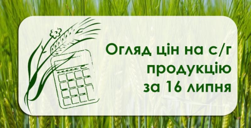 Ціна пшениці перевищила 6 тисяч грн/т — огляд за 16 липня
