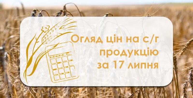 Пшениця та ріпак продовжують дорожчати — огляд цін на с/г продукцію за 17 липня
