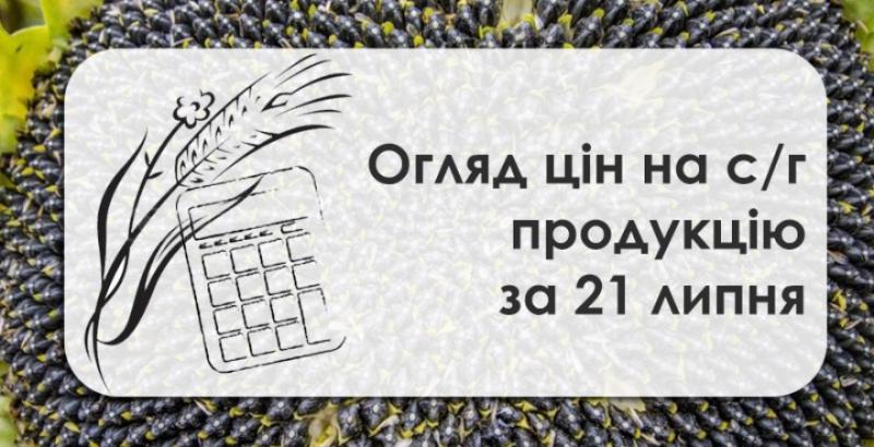 В портах України росте ціна ріпаку — огляд за 21 липня