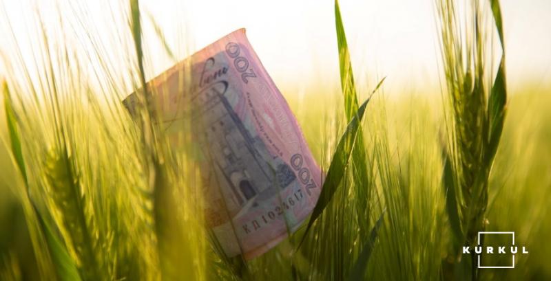 Мінекономіки перегляне програми держпідтримки аграріїв на 2021 рік