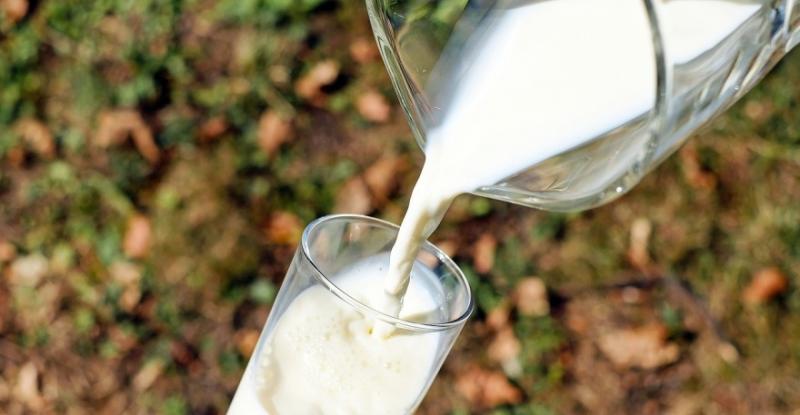 На Вінниччині запускають проєкт зі створення сімейних молочних ферм