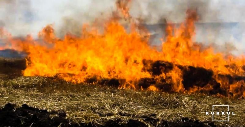 У Дніпропетровського фермера згоріло 43 га пшениці через підпал