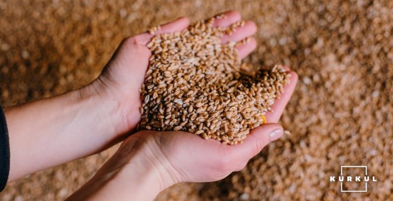 Аграрії Харківщини намолотили 2 млн тонн пшениці