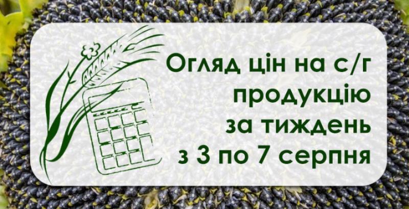 Фуражна пшениця та ячмінь стабільно дорожчають — огляд за тиждень з 3 по 7 серпня