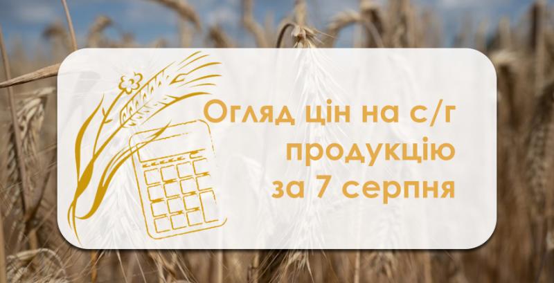 В Україні подешевшала пшениця 2 класу — огляд цін на с/г продукцію за 7 серпня